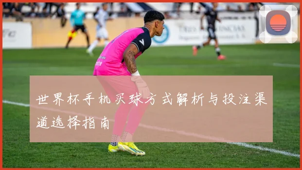 世界杯手机买球方式解析与投注渠道选择指南