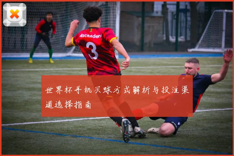 世界杯手机买球方式解析与投注渠道选择指南