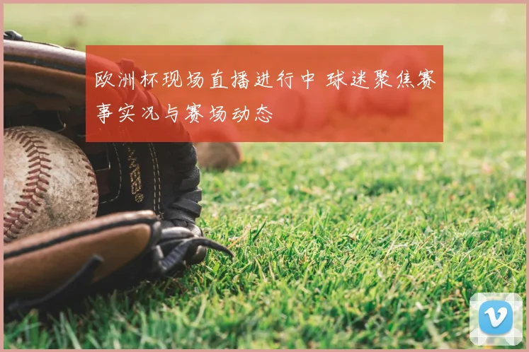 欧洲杯现场直播进行中 球迷聚焦赛事实况与赛场动态