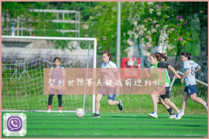 智利世预赛关键战前迎利好